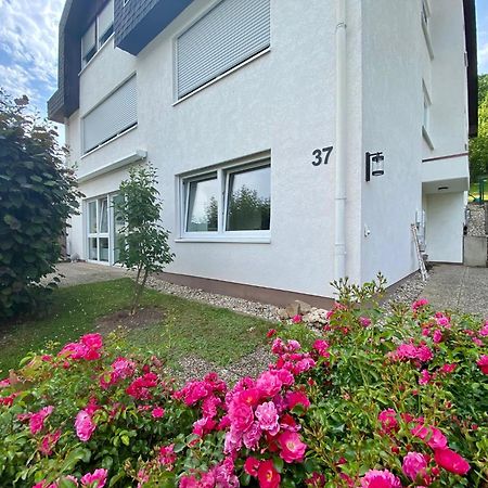 Neu: Ferienwohnung Zum Nussbaum - Landhausstil & Moseltalblick Traben-Trarbach Exterior foto