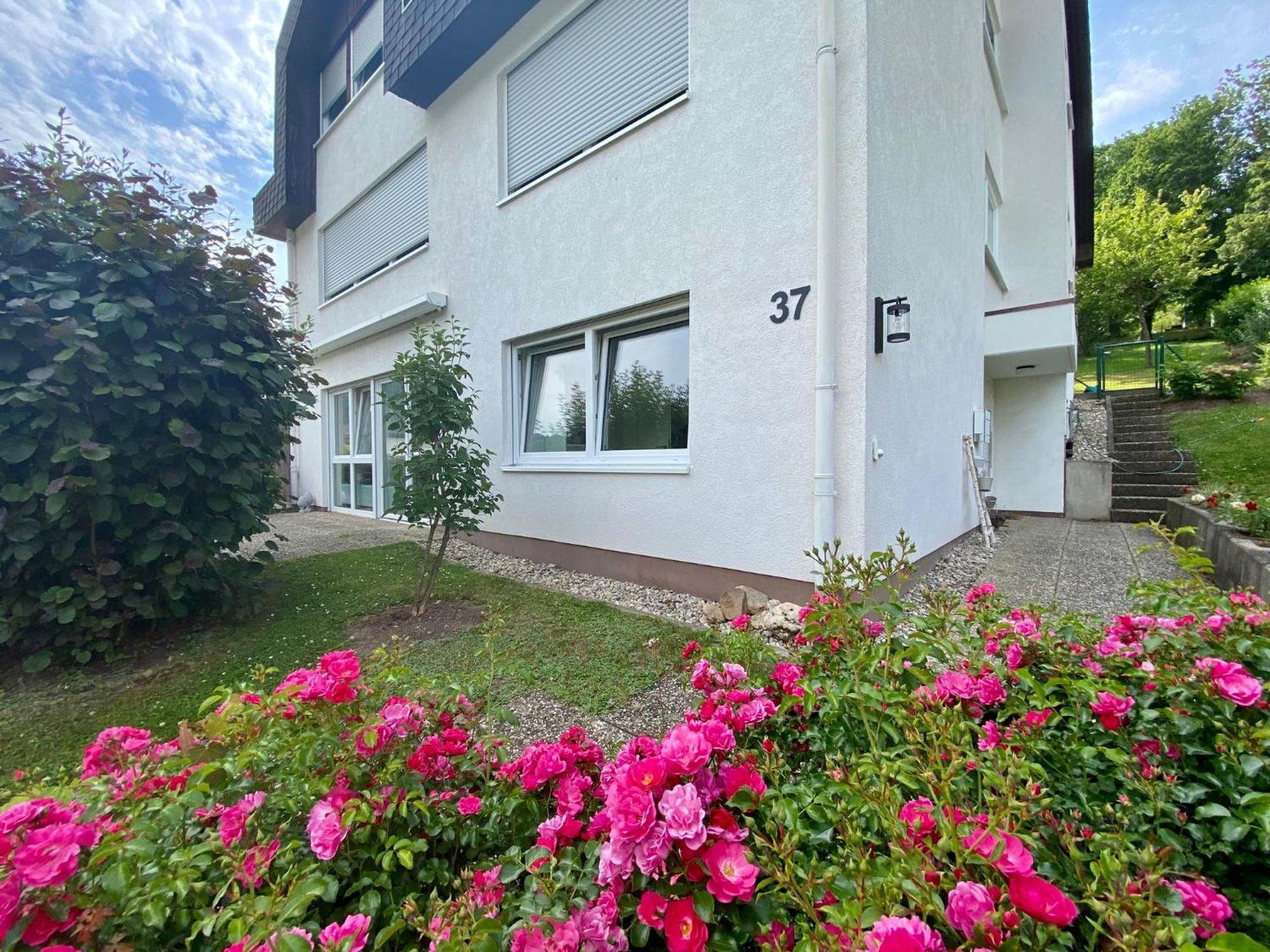 Neu: Ferienwohnung Zum Nussbaum - Landhausstil & Moseltalblick Traben-Trarbach Exterior foto